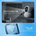 4.webp