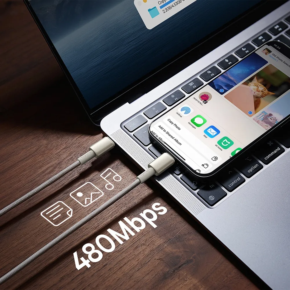 7.webp