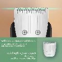 5.webp