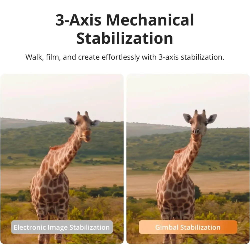 5.webp