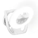 2.webp