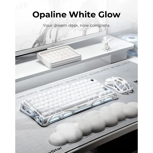 2.webp