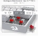 5.webp