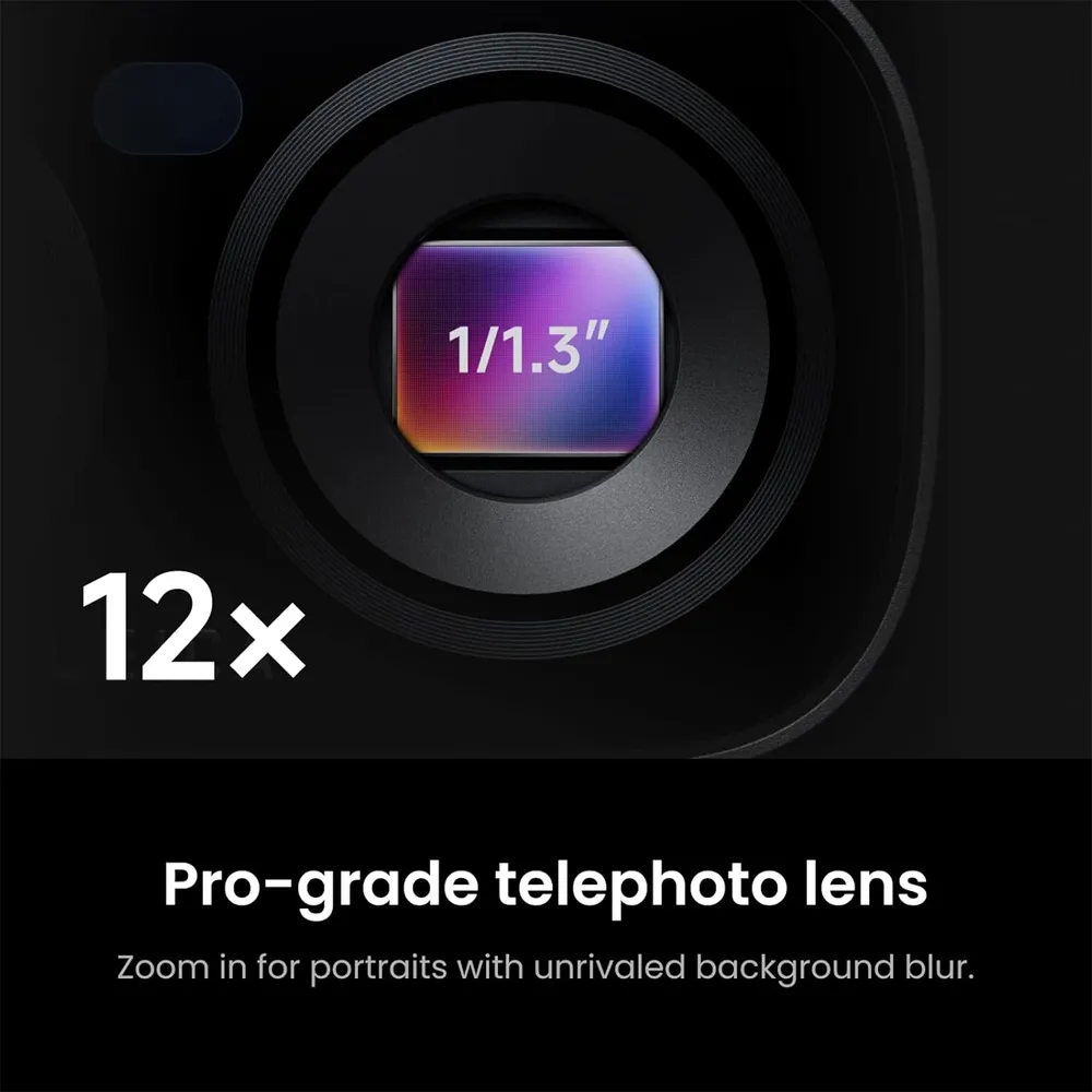 5.webp