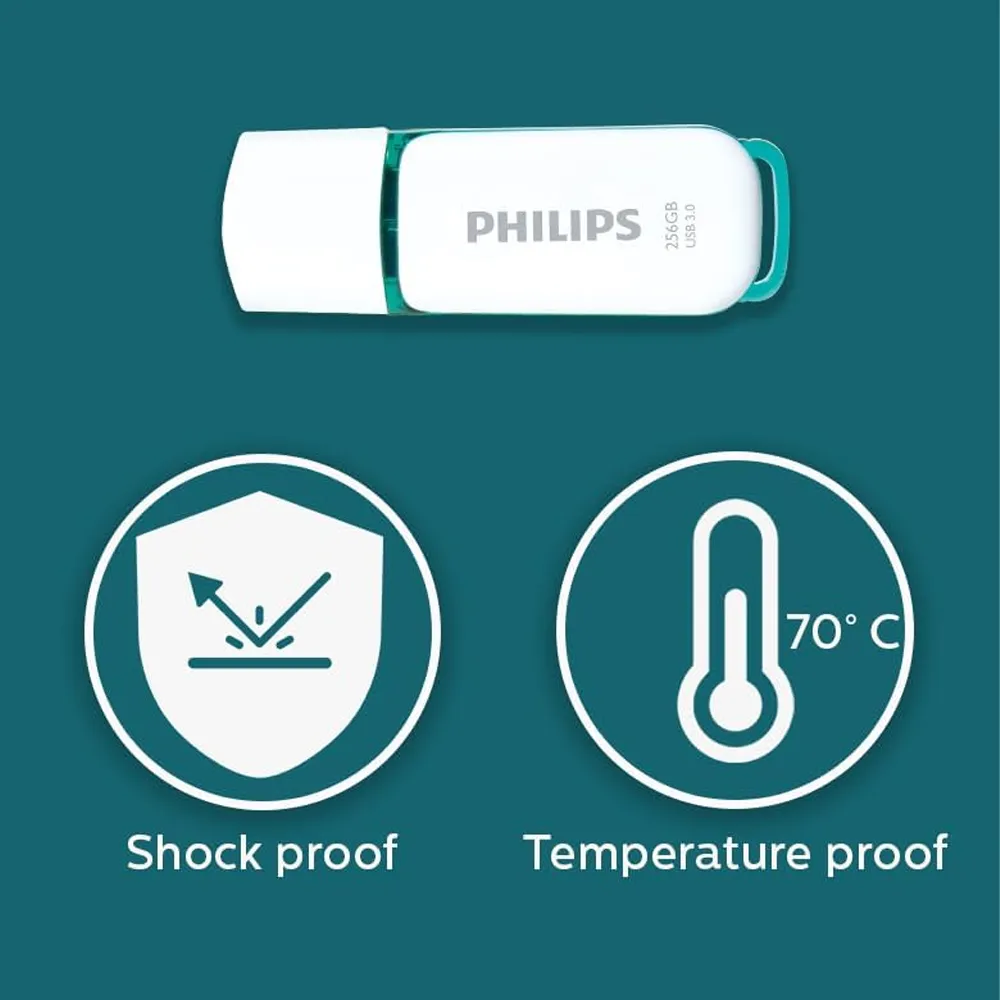 5.webp