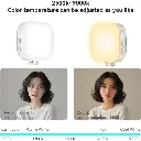 5.webp
