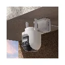 2.webp