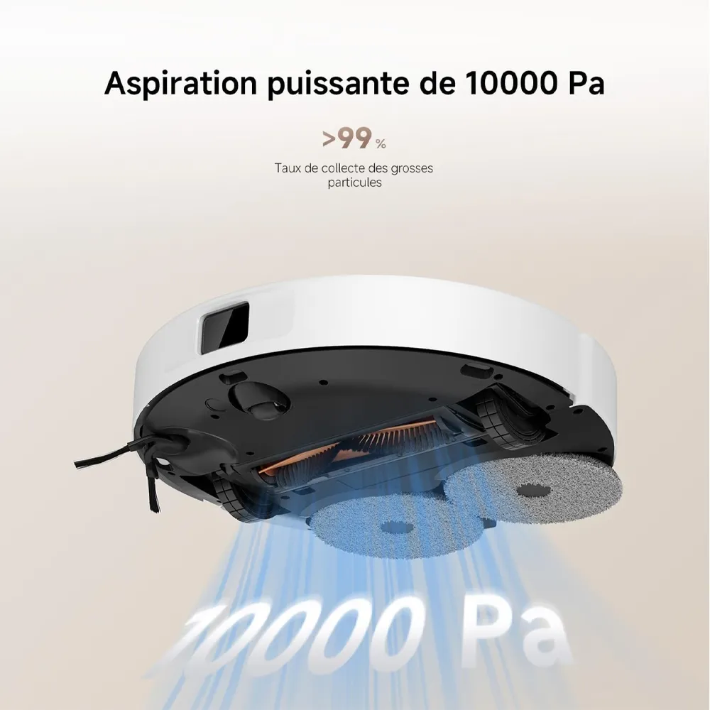 8.webp