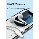 3.webp