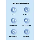 4.webp