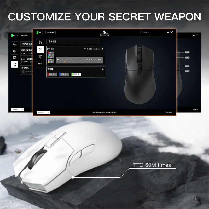6.webp