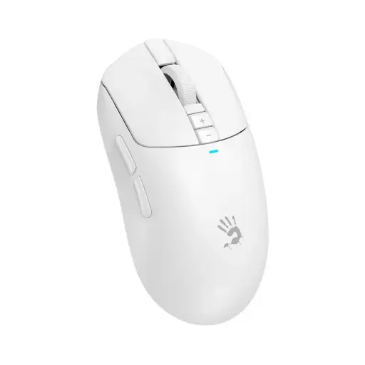 2.webp