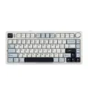 AULA F75 75% Wireless Mechanical Gaming Keyboard, 2.4GHz/Type-C/BT5.0, LEOBOG Ice Vein Switch 