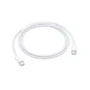 Apple Cable USB C To C 2M 100w