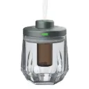 Green Lion Crystal Fragrance Diffuser 