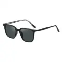 Green Lion Carenzo Sunglasses - Black 