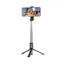 Green Lion Tripod Selfie Stick - Black