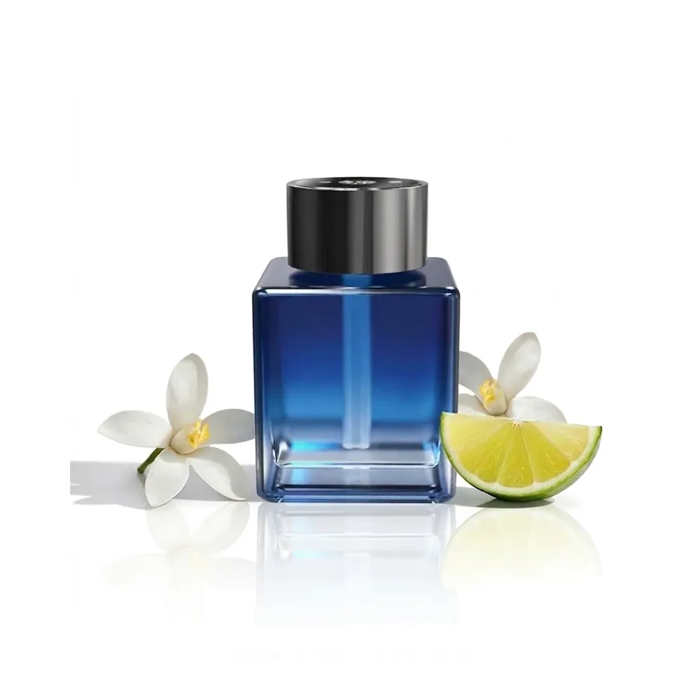 MSHPADF-BL Master Home Perfume & Aroma Diffuser 500ml – Blue