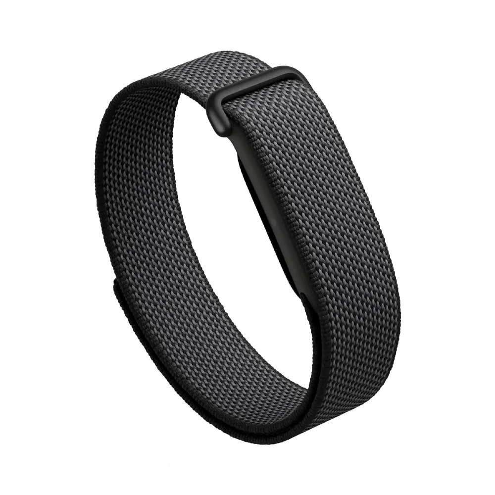 Google Fitbit Air