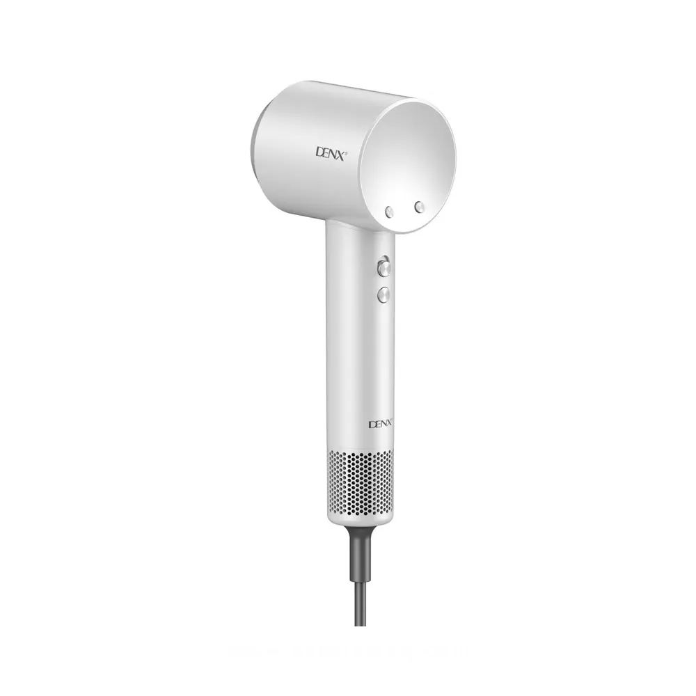 DENX HIGH SPEED HAIR DRYER DX1399