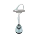 DENX DX3006 Home Garment Steamer Set – 1800W