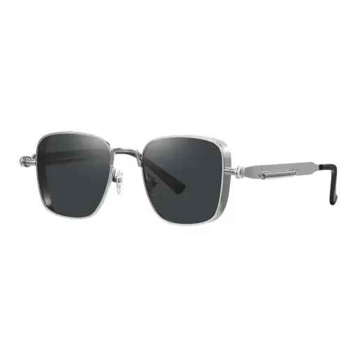 [GNSETSGLSSL] Green Lion Sentina Sunglasses - Silver