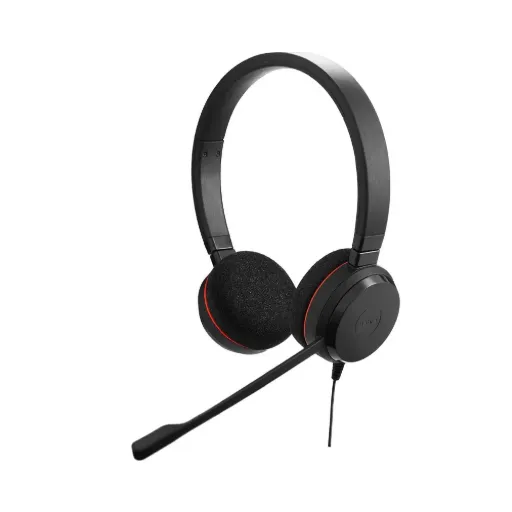 Jabra Evolve 20 MS Duo Headset