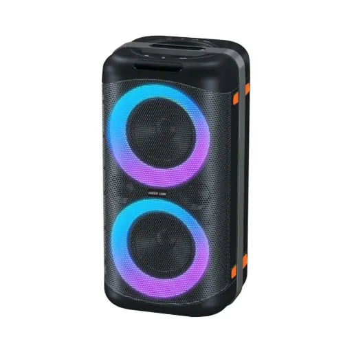 Green Lion Party Life 600 Speaker - Black